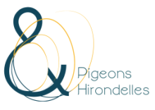 Pigeons & hirondelles & le Riglab, centre d'art de proximité